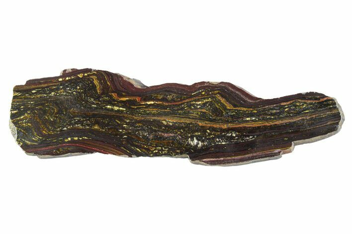 Polished Tiger Iron Stromatolite Slab - Billion Years #351888